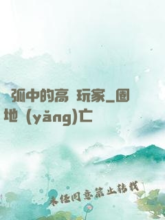 電弧中的高級玩家