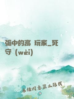 電弧中的高級玩家
