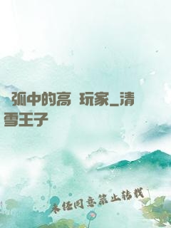 電弧中的高級玩家