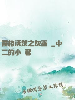 霍格沃茨之灰巫師