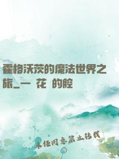 霍格沃茨的魔法世界之旅