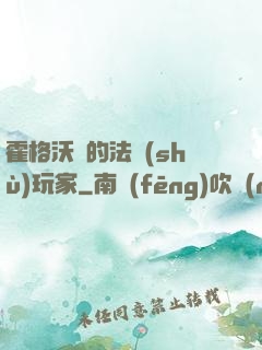 霍格沃茲的法術(shù)玩家