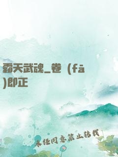 霸天武魂