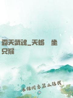 霸天武魂