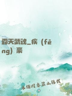 霸天武魂