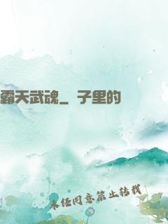 霸天武魂
