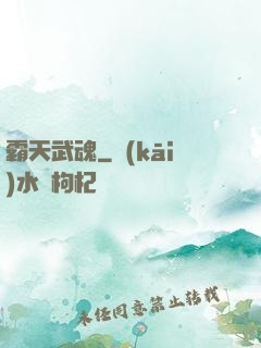 霸天武魂