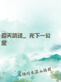 霸天武魂