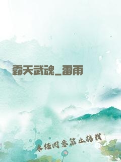 霸天武魂