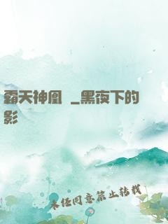 霸天神凰決