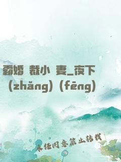 霸婚總裁小蠻妻