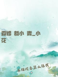 霸婚總裁小蠻妻
