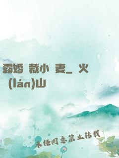霸婚總裁小蠻妻