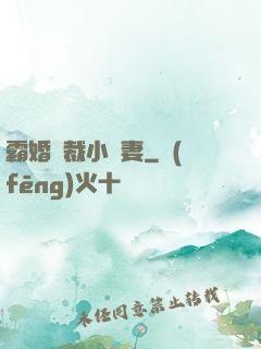 霸婚總裁小蠻妻