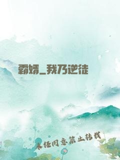 霸婿