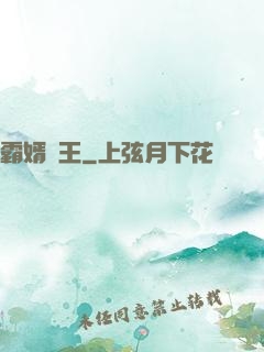 霸婿為王