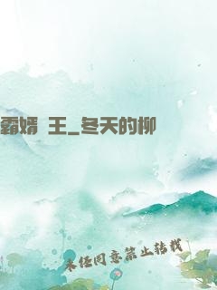 霸婿為王