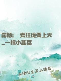 霸婿：寵妻狂魔要上天