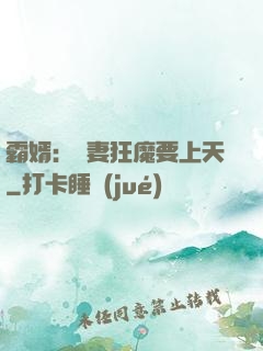 霸婿：寵妻狂魔要上天