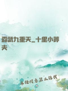 霸武九重天