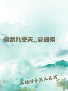 霸武九重天