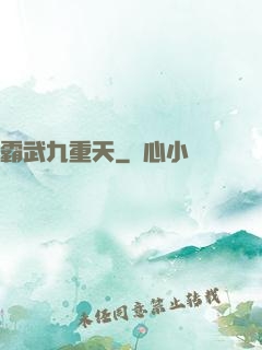 霸武九重天