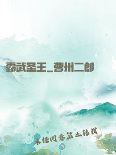 霸武圣王