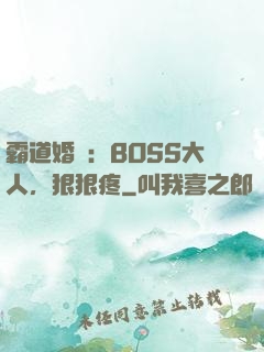霸道婚寵：BOSS大人，狠狠疼