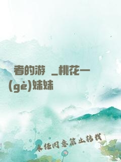 靈視者的游戲