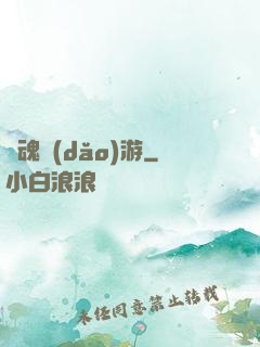 靈魂導(dǎo)游
