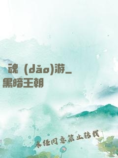 靈魂導(dǎo)游