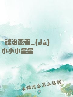 靈魂治愈者