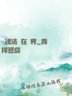 靈魂法師在異界