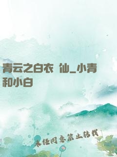 青云之白衣劍仙