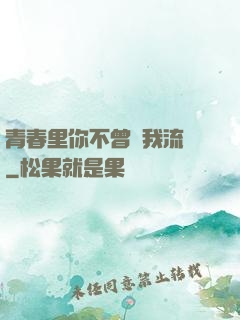 青春里你不曾見我流淚
