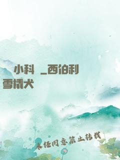 韓娛小科員