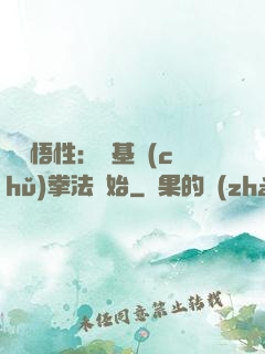 頂級悟性：從基礎(chǔ)拳法開始