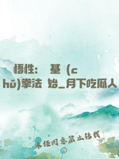 頂級悟性：從基礎(chǔ)拳法開始