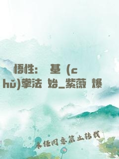 頂級悟性：從基礎(chǔ)拳法開始