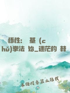 頂級悟性：從基礎(chǔ)拳法開始
