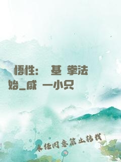 頂級悟性：從基礎拳法開始