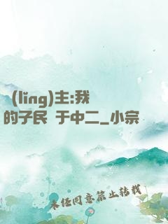 領(lǐng)主:我的子民過于中二