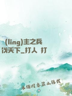 領(lǐng)主之兵伐天下