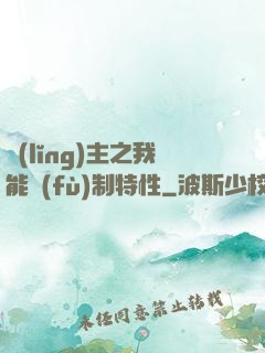 領(lǐng)主之我能復(fù)制特性