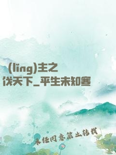 領(lǐng)主之殺伐天下