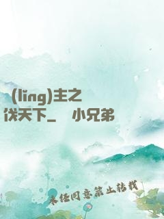 領(lǐng)主之殺伐天下