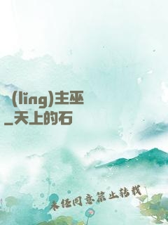 領(lǐng)主巫師