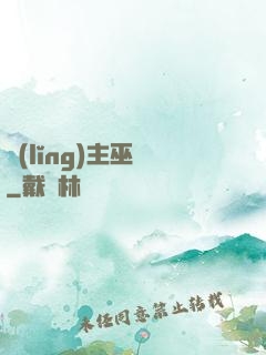 領(lǐng)主巫師