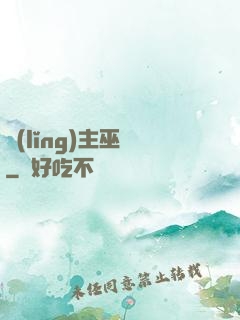 領(lǐng)主巫師