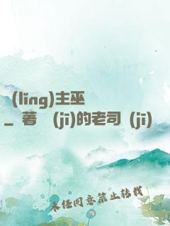領(lǐng)主巫師